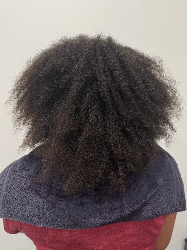 Before the smoothing: tightly coiled hair carrying its full natural volume
